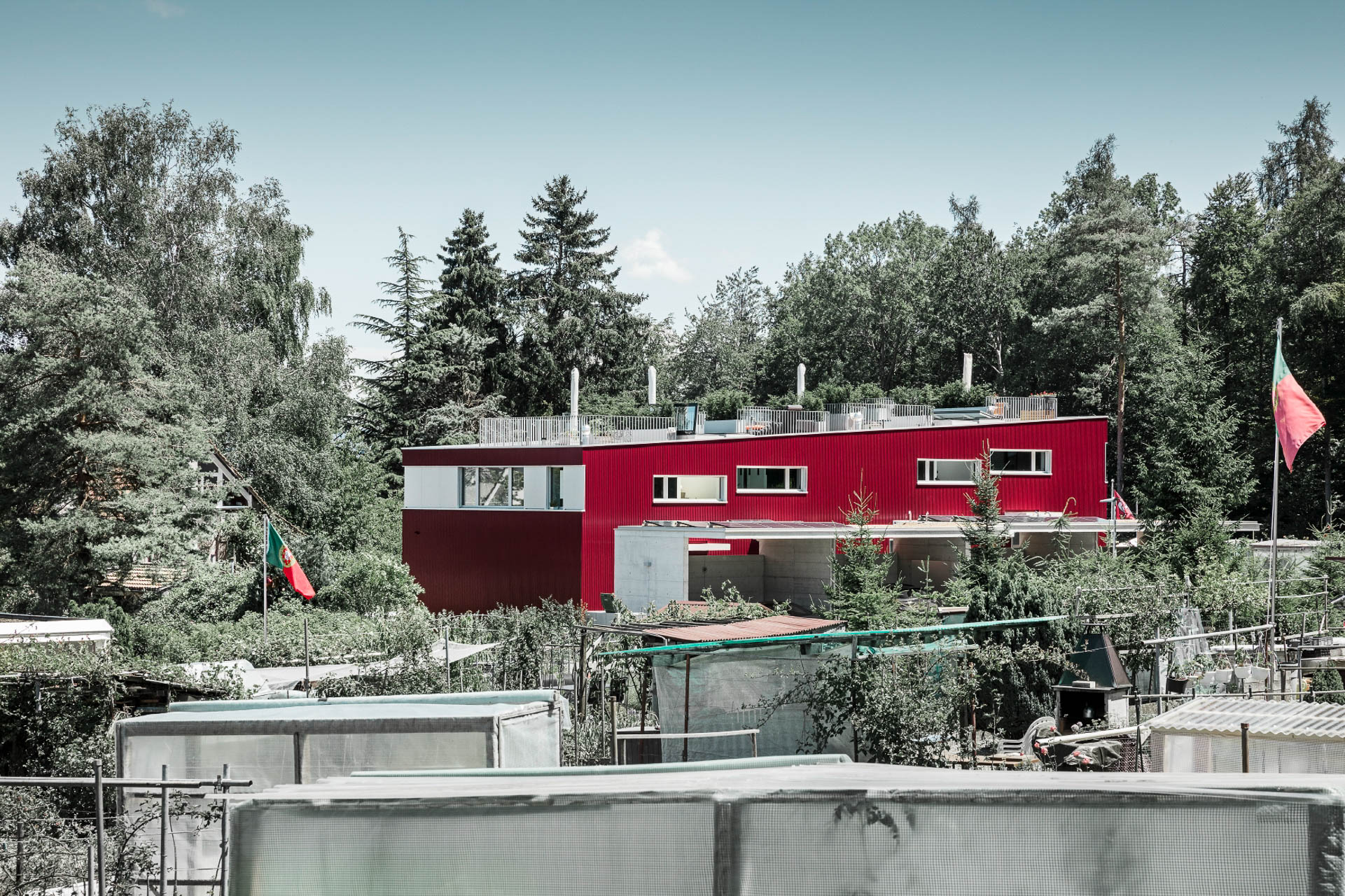 Bild: /bilder/01-rhhorgen-61.jpg nicht gefunden